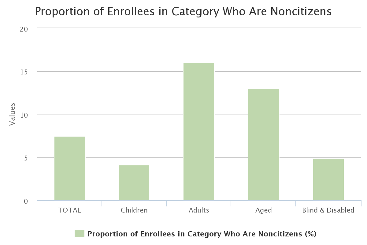 Proportion of Enrollees in Category Who Are Noncitizens